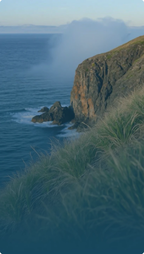 Cornish