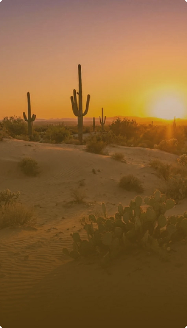 Desert